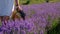 woman in a lavender field. selective focus.