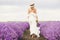 Woman on the lavender field. Woman in white dress and   hat  back view. Goes on lavender rows. girl in white dress and white hat