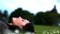 Woman laying on grass in a park