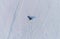 Woman is laying on tubing in the snow. Aerial foto.