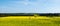 Woman leaps in a yellow flower field