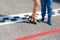 Woman legs and motorsport driver on asphalt track