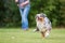 Woman lets a dog retrieve a ball