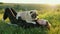 Woman lies with a pug in the grass on sunset, holds in her arms and petting the dog