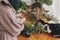 Woman in linen dress arranging flowers and two cats playing and smelling wildflowers on wooden table