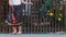 A woman in long colorful skirt dancing by the fence on the street