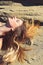 Woman with long hair, hairstyle relax on sand