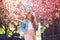 Woman with long hair walking in spring. Women fashion. Woman enjoying amazing sakura blooming tree