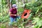 Woman looking at big Rafflesia keithii flower