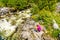 Woman looking at the fast flowing waters of Joffre Creek