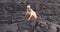 Woman looking at lava in Kilauea volcano Hawaii