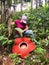 Woman looking at Rafflesia keithii flower in the jungle of Borneo