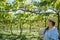 Woman looking ripe juicy green grape in the garden