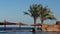 Woman In Luxury Infinity Swimming Pool With View At Sea