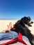 Woman lying on beach with dog on red leash