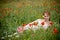 Woman lying in grass among poppies