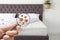 Woman with magnifying glass detecting bed bugs on mattress, closeup.