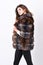 Woman makeup and hairstyle posing mink or sable fur coat. Female brown fur coat. Fur store model enjoy warm in soft