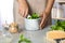 Woman making basil pesto sauce at kitchen