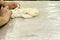 Woman making a challah loaf- jewish bread
