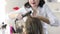 Woman making hairdressing for teen pretty girl with long hair.