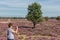 Woman making pictures of Dutch blooming purple heath