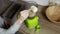 Woman making protein cocktail in kitchen in morning