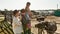 Woman and man with granddaughter feeding donkeys