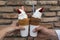 Woman and man hand holding Trdelnik with ice cream in old Tbilisi