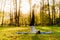 Woman with mask meditating/practicing yoga in nature alone.Social distancing and active healthy lifestyle. Mindfulness meditation.