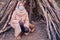 A woman in a medical mask sits in a hut in the forest. Tourist hiding from epidemic of coronavirus