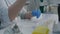 A woman microbiologist working in the laboratory with the bacteria Staphylococcus.