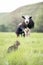 A woman milks a black and white cow with her hands in a field and a gray spotted cat waits for milk