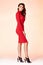 Woman model fashion style red skinny dress beautiful secretary diplomatic protocol office uniform stewardess air hostess business