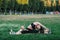 Woman mom sits on the grass in nature and does stretching warm-up, next to her baby crawls