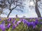 Woman on mountainbike in blooming meadow