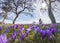 Woman on mountainbike in blooming meadow