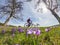 Woman with mountainbike in crocus meadow