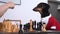 Woman moves Queen playing chess with cute dachshund dog