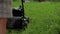 Woman mowing grass with a lawn mower