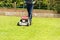 A woman mows her green lawn in summer