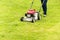 A woman mows her green lawn in summer