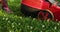 Woman mows the lawn with a lawn mower grass at home garden, gardener woman working