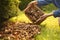 Woman mulching soil with bark chips in garden, closeup