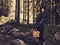 Woman and mushroom basket