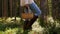 Woman with mushrooms in basket walking in forest