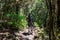 Woman on mystical hiking trail through the laurel forest in Garajonay National Park, La Gomera, Canary Islands, Spain