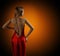 Woman Naked Back, Womanly Fashion Model Posing Red Dress