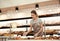 Woman near showcase with pastries in bakery shop