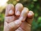 Woman nibbling nails, Close up and macro shot, Selective focus, Asian body Language concept